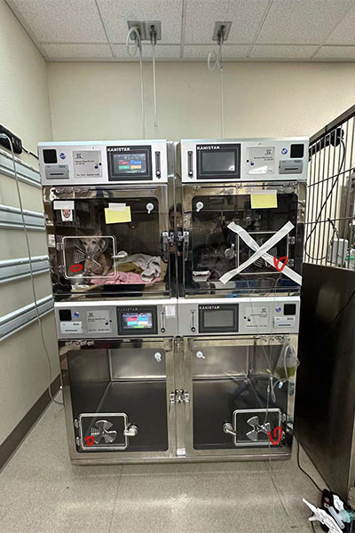 Intensivpflegeeinheit für Zootiere02