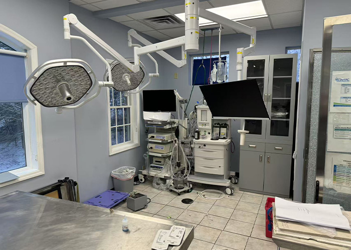 Dr. Morsys neue Tierklinik eröffnet mit AEOLUS Medizintechnik 01