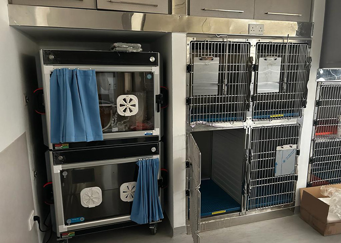 Griechische Tierklinik steigert Einnahmen mit AEOLUS ICU – Amortisation in nur 129 Tagen! 01