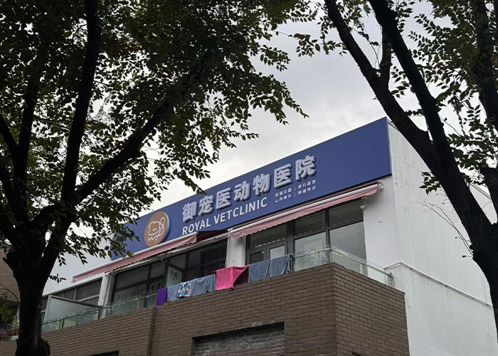 Königlicher Tierarzt in China 01