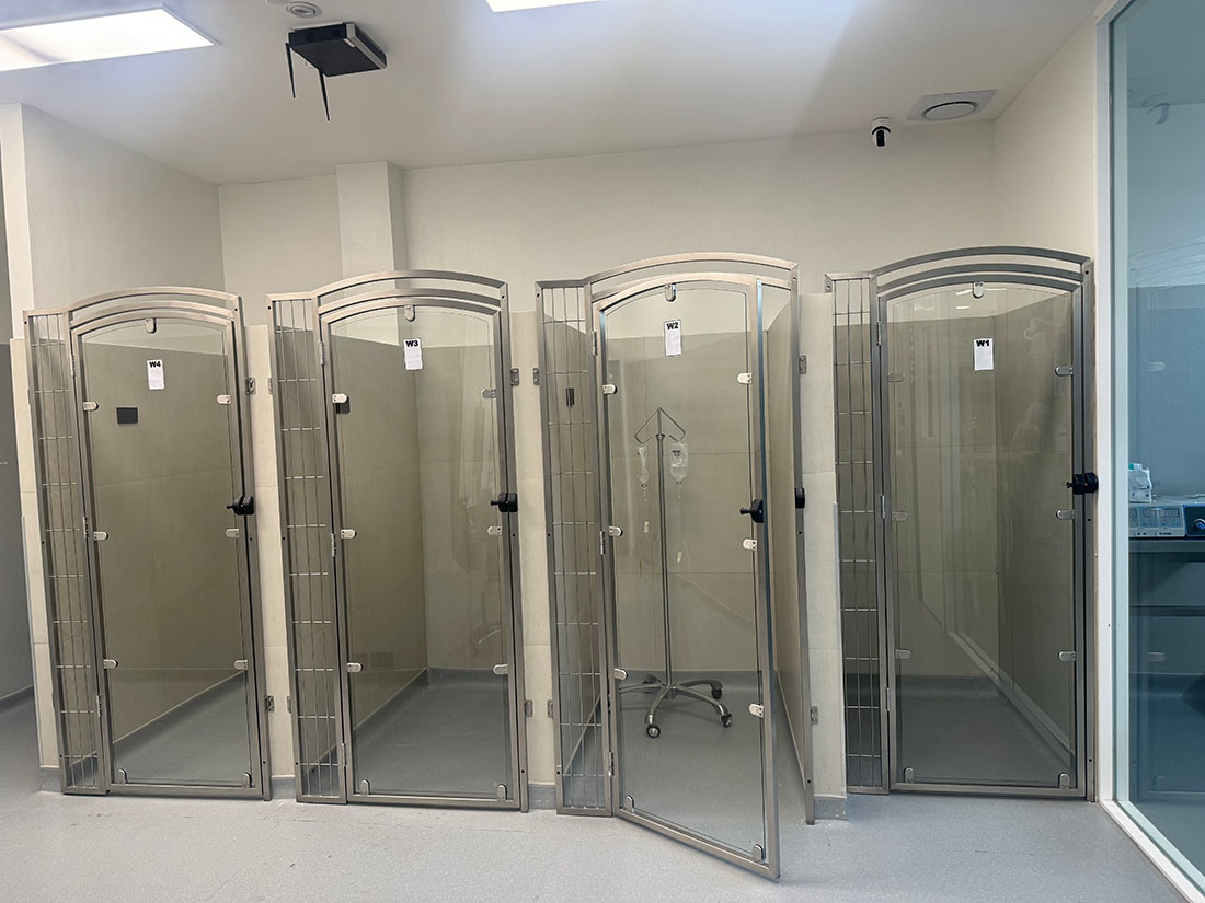 Erfolgsgeschichte: Animal Doctors Hospital in Thailand entscheidet sich für AEOLUS als Komplettanbieter für Veterinärtechnik 05