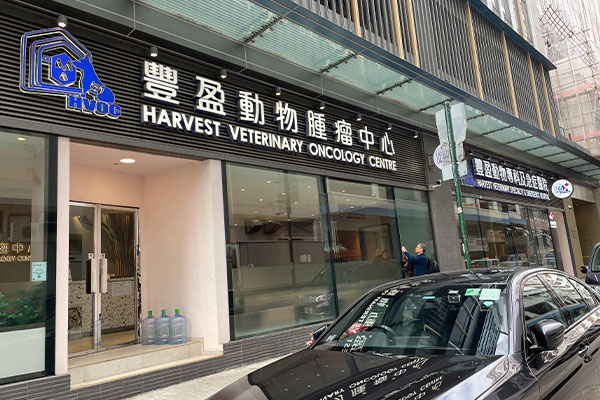 Hong Kong Veterinary Specialists & Emergency Hospital entscheidet sich für AEOLUS ICU-Systeme für hochspezialisierte Intensivmedizin04