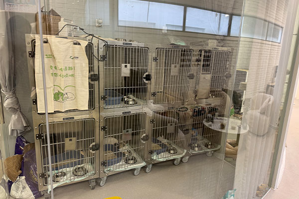 Königlicher Tierarzt in China 03