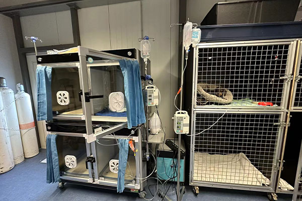 AEOLUS Animal ICU in Meerbusch installiert – Fortschritt für die tierärztliche Versorgung und Lebensrettung 03