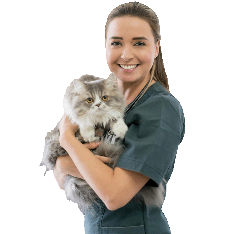 Seminare & Workshops 01