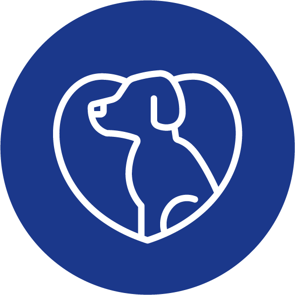 Warum Uns Wählen 02