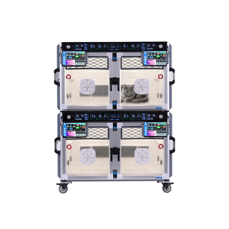 Katzenfreundliche Intensivpflegeeinheit