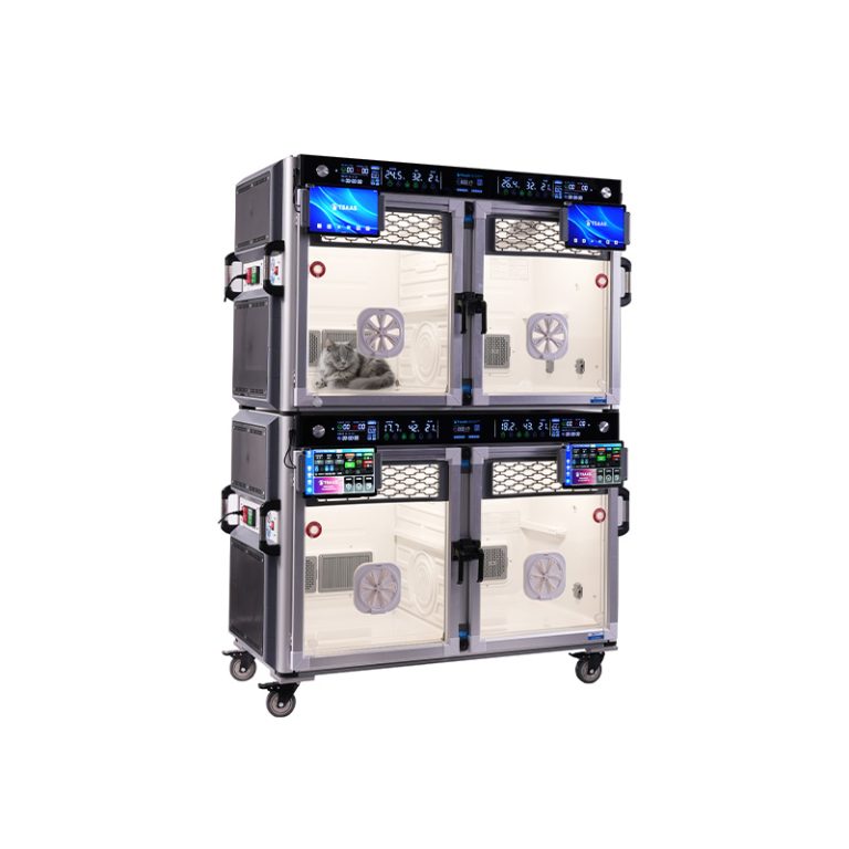 Katzenfreundliche Intensivpflegeeinheit2